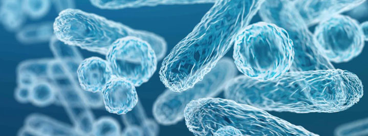 “The Oresund region aims at becoming Europe’s microbiome Mecca” interview with MVA Senior Strategy and Project Manager, Sarah Lidé in Life Science Sweden