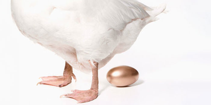 “Life Science in the Medicon Valley cluster is the the goose that lays the golden egg”, opinion piece By MVA CEO Anette Steenberg