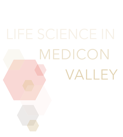 bridge-text-overlay