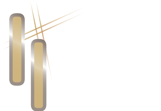 MVA Logo Mobile